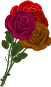 Thank You Oh, look! It's a bundle of roses from Tyler.